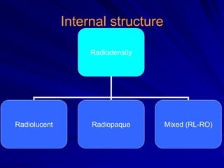 Internal structure
Radiodensity
Radiolucent Radiopaque Mixed (RL-RO)
 