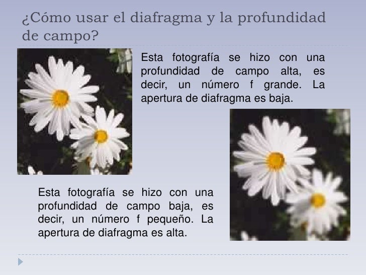 Relaci n Entre N meros f Qu Es Abrir Un Paso el Diafragma