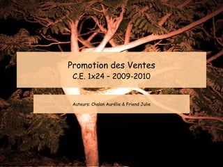 Promotion des Ventes C.E. 1x24 – 2009-2010 Auteurs: Chalon Aurélie & Friend Julie 