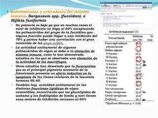 Antitumorales y activadores del sistema inmune .  Sargassum spp. (fucoidan). e Hijikia fusiformis Su potencia es baja ya que en muchos casos el nivel de inhibición no llega al 60% exceptuando los polisacáridos del grupo de la fucoidina que alguna fracción puede llegar a una inhibición del 78% y parece haber una correlación con el gran contenido de los  grupo sulfato.  La actividad antitumoral de algunos polisacáridos de algas se deba a la  elevación de sistema inmune , como lo han demostrado estudios en los que se observaba una  elevación de la actividad de los macrófagos ,  Otros estudios han desvelado que la  fucoxantina  que es el principal pigmento accesorio de la fotosíntesis presenta un  efecto inductivo en la apoptosis  de las líneas celulares de la leucemia humana HL-60. También hay  actividad antitumoral en las distintas  fracciones lipídicas  de algas comestibles, encontrando que los glucolípidos de wakame y los fosfolípidos de konbu y nori tienen unos valores de inhibición cercanos al 60% 