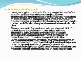 Actividad antiinflamatoria. Las algas del género  Laminaria, Fucus  y la especie  Ascophyllum nodosum , se suelen usar en la medicina popular y en talasoterapia, por sus propiedades antiinflamatorias y reparadoras en casos de tendinitis, contusiones o inflamaciones musculares, además de resultar remineralizantes.También hay constancia en la costa norte de Galicia del empleo de maceraciones en alcohol de Ulva. El mecanismo antiinflamatorio en parte, se debe a la inhibición del reclutamiento de células inmunes hacia el estímulo inflamatorio, aunque probablemente también existe una inhibición de la liberación de histaminas liberadas por los mastocitos, que son causantes de la aparición de dolor. La recuperación de zonas dañadas o lesionadas, se cree también que es acelerada debido a polisacáridos de fucoidina de bajo peso molecular que mejoran la angiogénesis (el proceso de proliferación de capilares), ayudando a la revascularización y una mejora del flujo del torrente sanguíneo en los tejidos dañados. 
