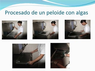 Procesado de un peloide con algas 