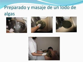 Preparado y masaje de un lodo de algas 