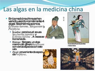 Las algas en la medicina china En la medicina china se han venido usando normalmente 4 algas: Saccharina japonica,  Ecklonia kurome, Sargassum  y  Porphyra. Kunbu : para la cual se usa  Saccharina japonica  y  Ecklonia kurome  . A veces se llama haidai. Haizao:  Sargazo, un alga marrón del género  Sargassum  con varias especies con este uso.  Zicai : proveniente de especies de  Porphyra . Curandera llevando plantas medicinales 