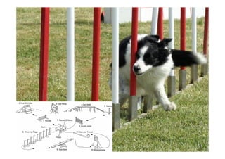 © Prosci Inc. All rights reserved. 27
 