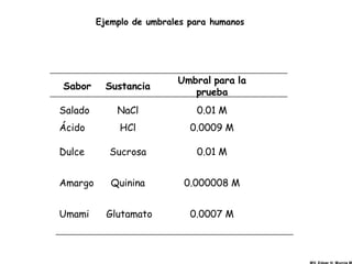 Ejemplo de umbrales para humanos




                          Umbral para la
Sabor      Sustancia
                             prueba
Salado       NaCl             0.01 M
Ácido         HCl            0.0009 M

Dulce      Sucrosa            0.01 M


Amargo      Quinina         0.000008 M


Umami      Glutamato         0.0007 M
 