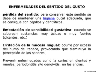 ENFERMEDADES DEL SENTIDO DEL GUSTO

pérdida del sentido: para conservar este sentido se
debe de mantener una higiene bucal adecuada, que
se consigue con cepillos y dentríficos.

Embotación de sensibilidad gustativa: cuando se
saborean sustancias muy ácidas o muy fuertes
(picantes, etc.)

Irritación de la mucosa lingual: ocurre por exceso
del humo del tabaco, provocando que disminuya la
percepción de los sabores.

Prevenir enfermedades como la caries en dientes y
muelas, periodontitis y/o gengivitis, en las encías.
 