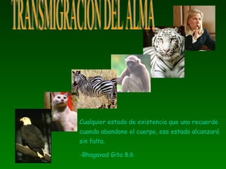 Cualquier estado de existencia que uno recuerde cuando abandone el cuerpo, ese estado alcanzará sin falta. -Bhagavad Gita 8.6 TRANSMIGRACION DEL ALMA 