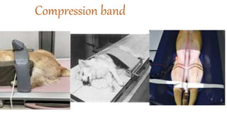 Radiographic Quality, Density, Contrast, Detail, Radiographic ...