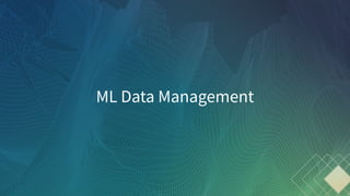 ML Data Management
 