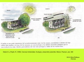 Nebel, B. y Wright, R. (1999): Ciencias Ambientales. Ecología y desarrollo sostenible. México: Pearson, páx. 580


                                                                                                     I.E.S. Otero Pedrayo.
                                                                                                            Ourense
 