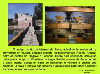 O antigo muíño de Mareas da Seca, actualmente restaurado e
convertido en museo, atópase situado na pontevedresa Ría de Arousa,
entre as puntas de Tragove e Fefiñáns. Sobre esta ensenada instalouse
unha presa de aprox. 50 metros de longo. Recibe o nome de Seca porque
a zona interior queda en seco en baixamar, e vólvese a encher coa
pleamar. O fluxo e refluxo das mareas é aproveitado para facer funcionar
as catro pedras coas que contaba.                          I.E.S. Otero Pedrayo.
                                                                     Ourense
 