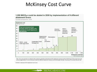 McKinsey Cost Curve
 