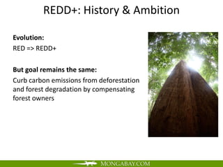 REDD+: History & Ambition

Evolution:
RED => REDD+

But goal remains the same:
Curb carbon emissions from deforestation
and forest degradation by compensating
forest owners
 
