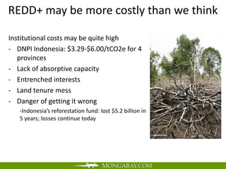 REDD+ may be more costly than we think

Institutional costs may be quite high
- DNPI Indonesia: $3.29-$6.00/tCO2e for 4
   provinces
- Lack of absorptive capacity
- Entrenched interests
- Land tenure mess
- Danger of getting it wrong
   -Indonesia’s reforestation fund: lost $5.2 billion in
   5 years; losses continue today
 