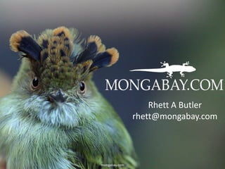 Rhett A Butler
               rhett@mongabay.com




mongabay.com
 