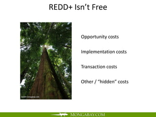 REDD+ Isn’t Free


        Opportunity costs

        Implementation costs

        Transaction costs

        Other / “hidden” costs
 