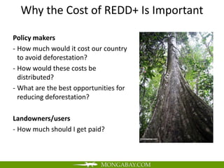 Why the Cost of REDD+ Is Important

Policy makers
- How much would it cost our country
  to avoid deforestation?
- How would these costs be
  distributed?
- What are the best opportunities for
  reducing deforestation?

Landowners/users
- How much should I get paid?
 
