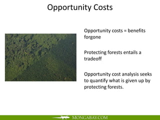 Opportunity Costs

         Opportunity costs = benefits
         forgone

         Protecting forests entails a
         tradeoff

         Opportunity cost analysis seeks
         to quantify what is given up by
         protecting forests.
 