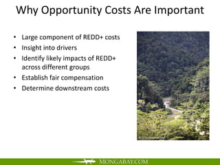 Why Opportunity Costs Are Important

• Large component of REDD+ costs
• Insight into drivers
• Identify likely impacts of REDD+
  across different groups
• Establish fair compensation
• Determine downstream costs
 