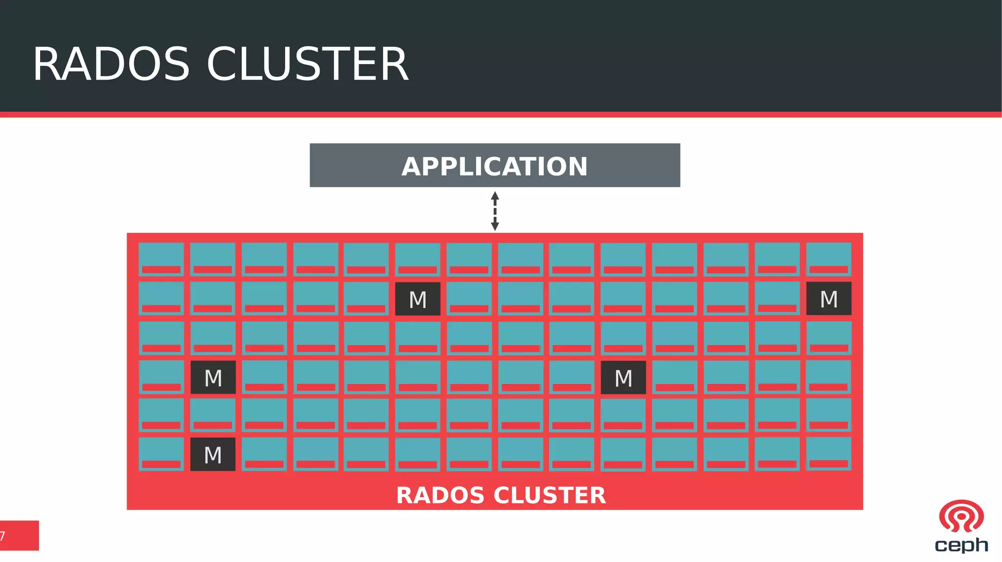 RADOS CLUSTER
7
APPLICATION
M M
M M
M
RADOS CLUSTER
 