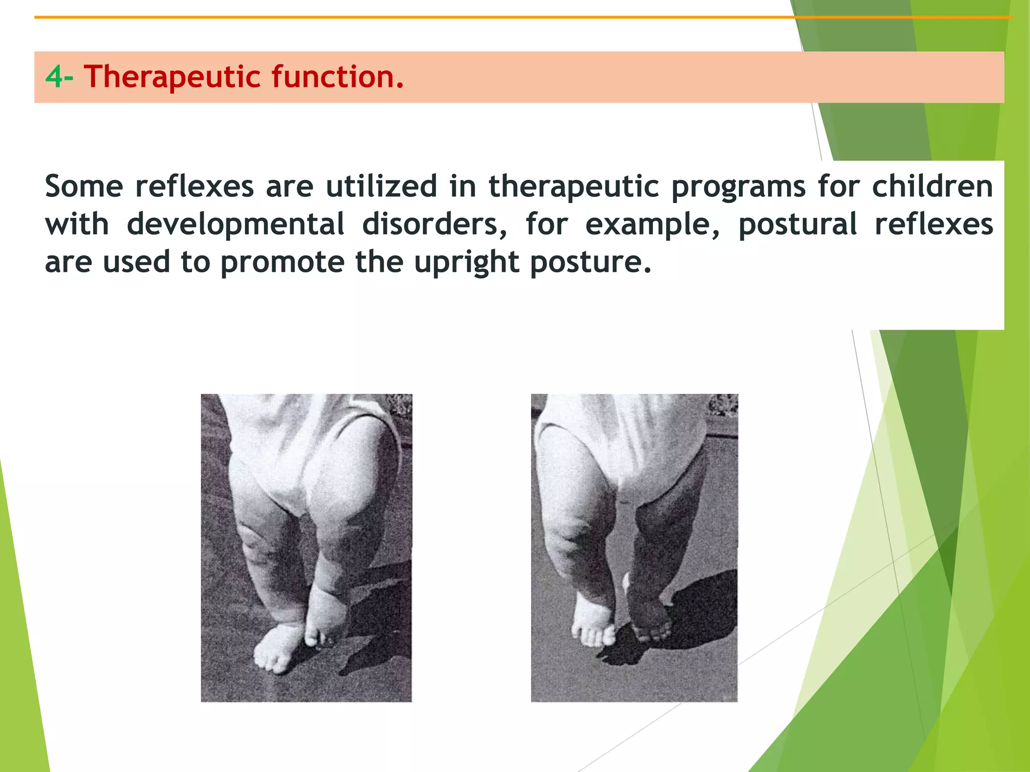 4 - reflexes maturation - new 2018.pptx