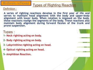 Righting Reflex R 4 - reflexes maturation - new 2018.pptx