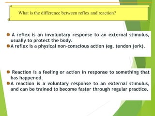 4 - reflexes maturation - new 2018.pptx