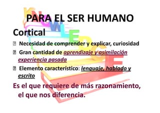 PARA EL SER HUMANO
Cortical
 Necesidad de comprender y explicar, curiosidad
 Gran cantidad de aprendizaje y asimilación
 experiencia pasada
 Elemento característico: lenguaje, hablado y
 escrito
Es el que requiere de más razonamiento,
 el que nos diferencia.
 