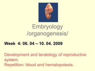 Embryology 
/organogenesis/ 
Week 4: 06. 04 – 10. 04. 2009 
Development and teratology of reproductive 
system. 
Repetition: blood and hematopoiesis. 
 
