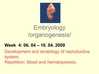 Embryology
/organogenesis/
Week 4: 06. 04 – 10. 04. 2009
Development and teratology of reproductive
system.
Repetition: blood and hematopoiesis.
 