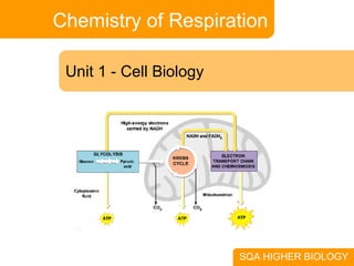 Chemistry of Respiration Unit 1 - Cell Biology SQA HIGHER BIOLOGY 