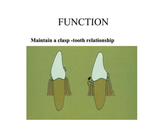 FUNCTION
Maintain a clasp -tooth relationshipMaintain a clasp -tooth relationship
 