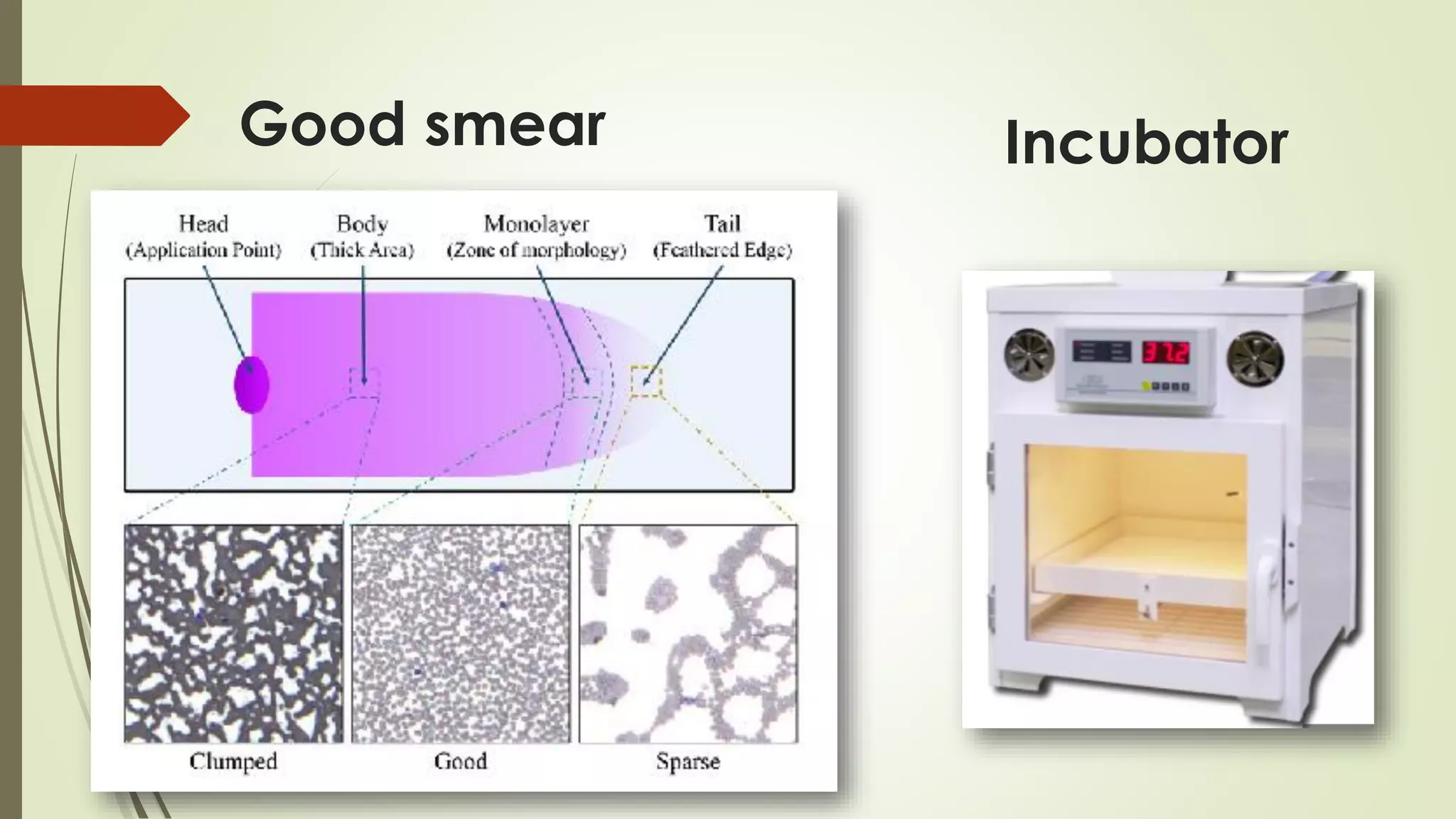 Good smear Incubator
 
