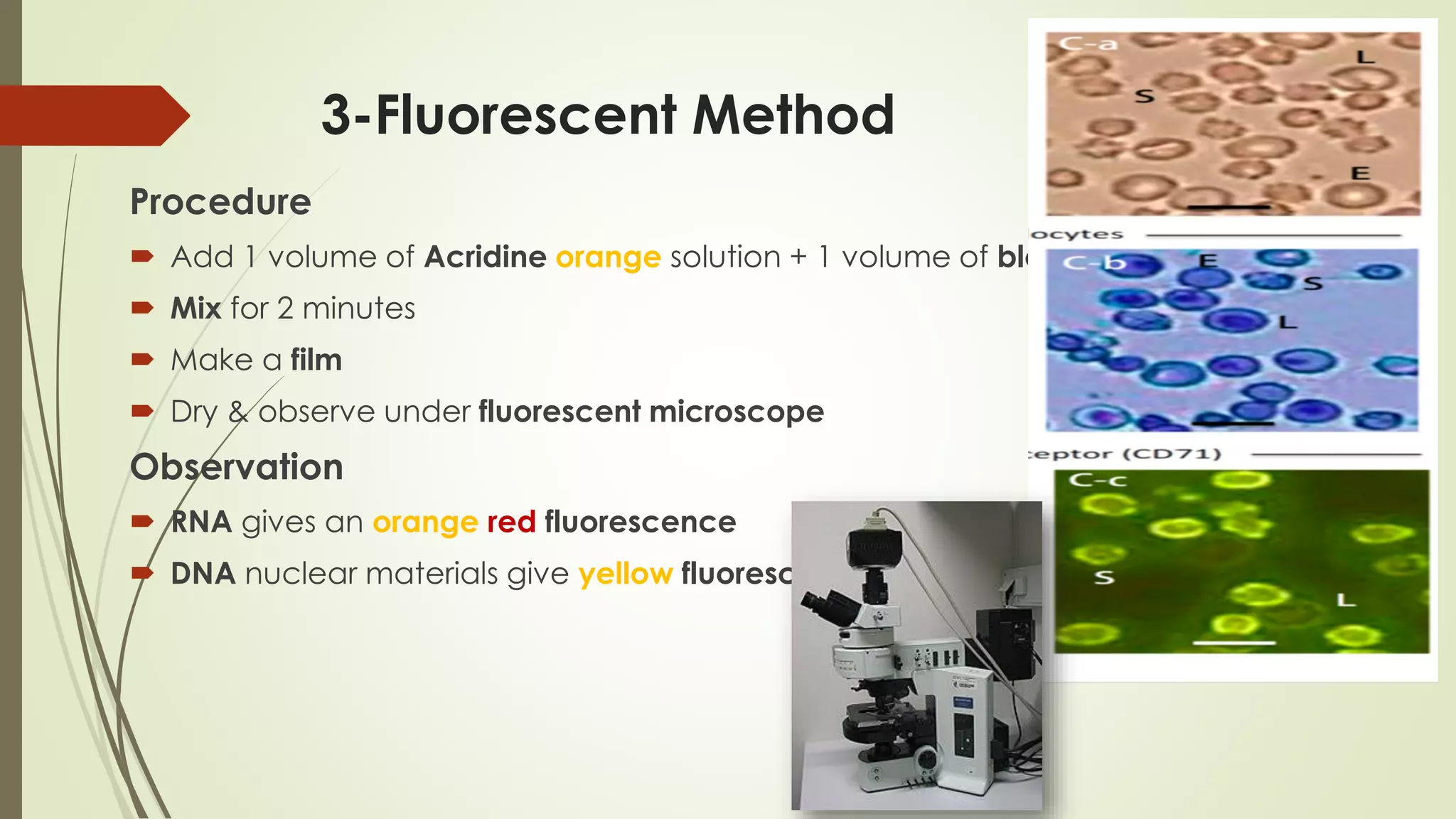 3-Fluorescent Method
Procedure
 Add 1 volume of Acridine orange solution + 1 volume of blood
 Mix for 2 minutes
 Make a film
 Dry & observe under fluorescent microscope
Observation
 RNA gives an orange red fluorescence
 DNA nuclear materials give yellow fluorescence
 