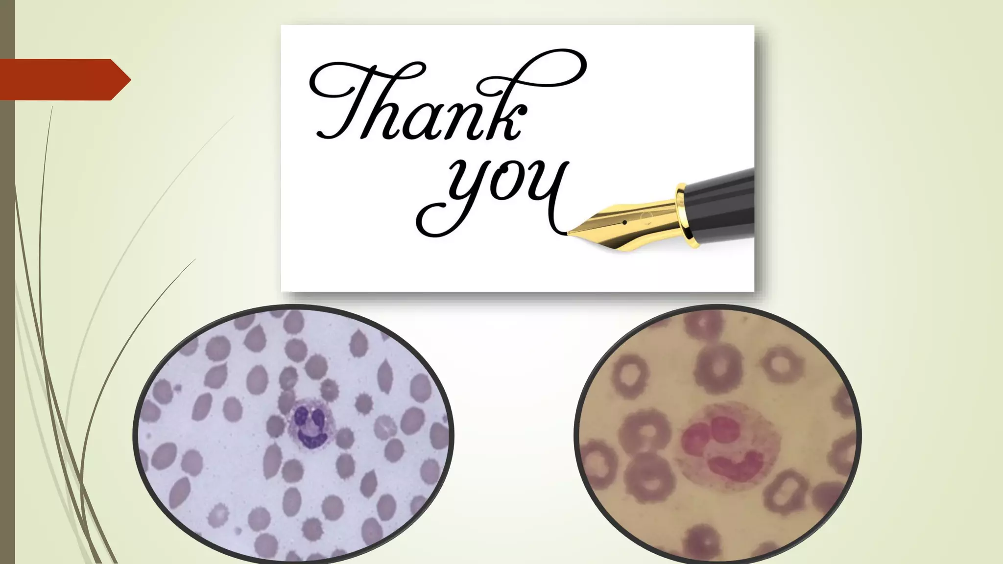 Reticulocytic count .pdf