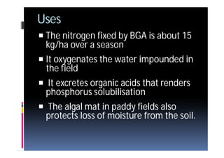 4 rice | PDF