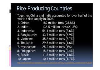 Cfm Rice 4 rice | PDF