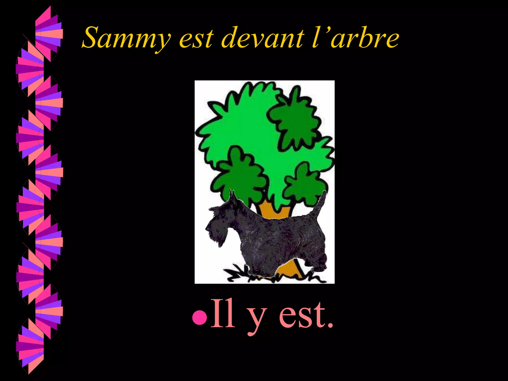 Sammy est devant l’arbre
●Il y est.
 