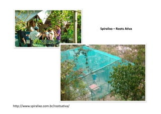 Spiralixo – Roots Ativa
http://www.spiralixo.com.br/rootsativa/
 