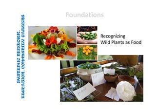 SYSTEMICNETWORK,
EDUCATION,COMMUNITYGARDENS
SYSTEMICNETWORK,
EDUCATION,COMMUNITYGARDENS
FoundationsFoundations
Recognizing
Wild Plants as Food
 