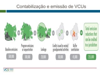 Contabilização e emissão de VCUs  