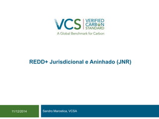 REDD+ Jurisdicional e Aninhado (JNR) 
Sandro Marostica, VCSA 
11/12/2014  