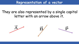 Representation of a vector
They are also represented by a single capital
letter with an arrow above it.
⃗
P
⃗
B
⃗
A
 
