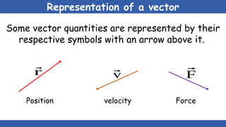 Representation of a vector
Some vector quantities are represented by their
respective symbols with an arrow above it.
⃗
F
⃗
v
⃗
r
Position velocity Force
 