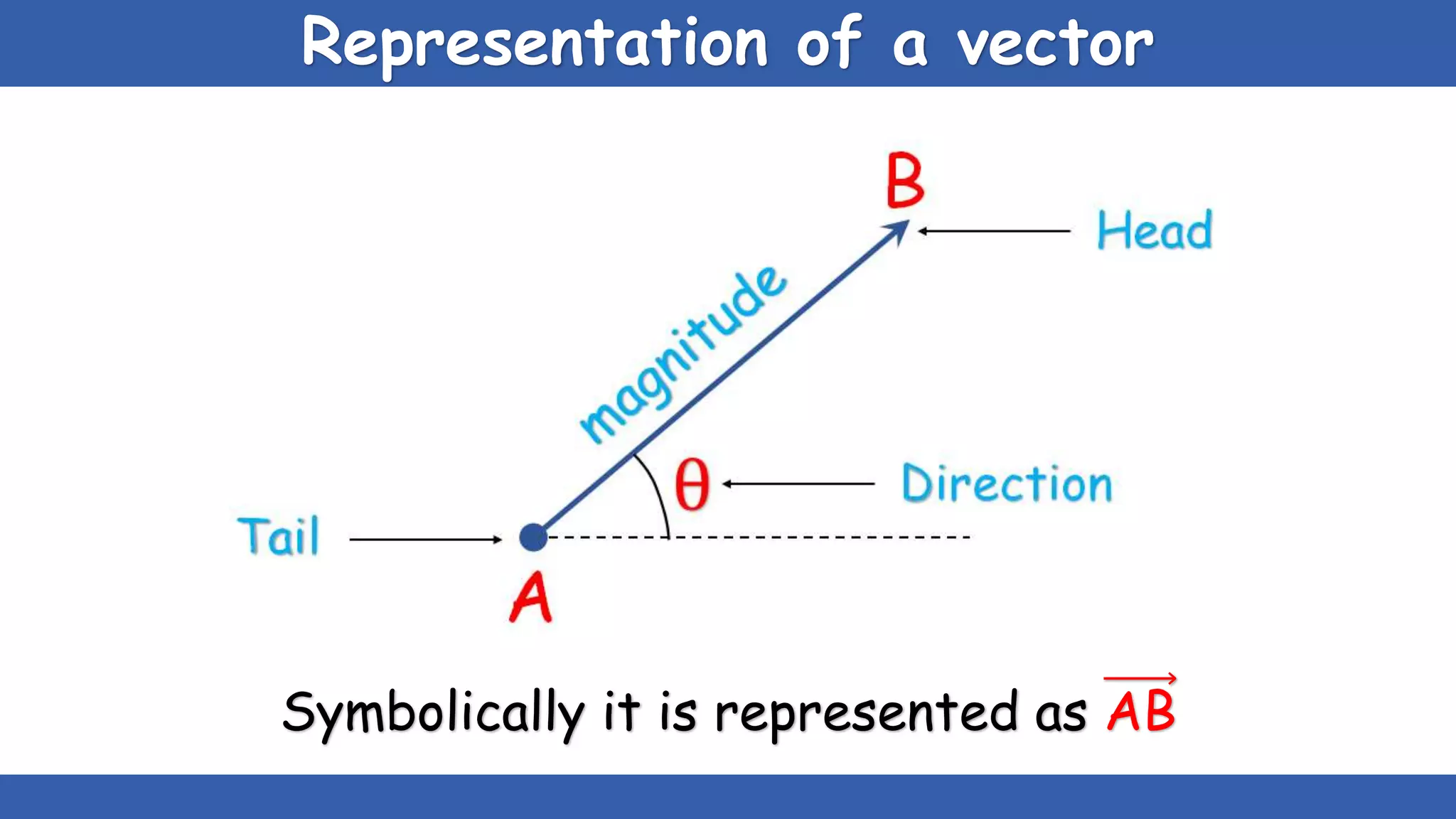 Scalars & vectors | PPTX