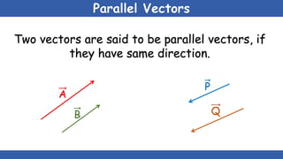 Scalars & vectors | PPTX