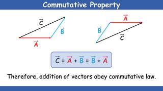 Scalars & vectors | PPTX