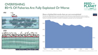 OVERFISHING
85+% Of Fisheries Are Fully Exploited Or Worse
FEED
PLANET
Founded by WORLDCHEFS
THE
Powered by Electrolux and...