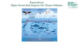 Aquaculture:
Open Farms And Impacts On Ocean Habitats
FEED
PLANET
Founded by WORLDCHEFS
THE
Powered by Electrolux and AIES...